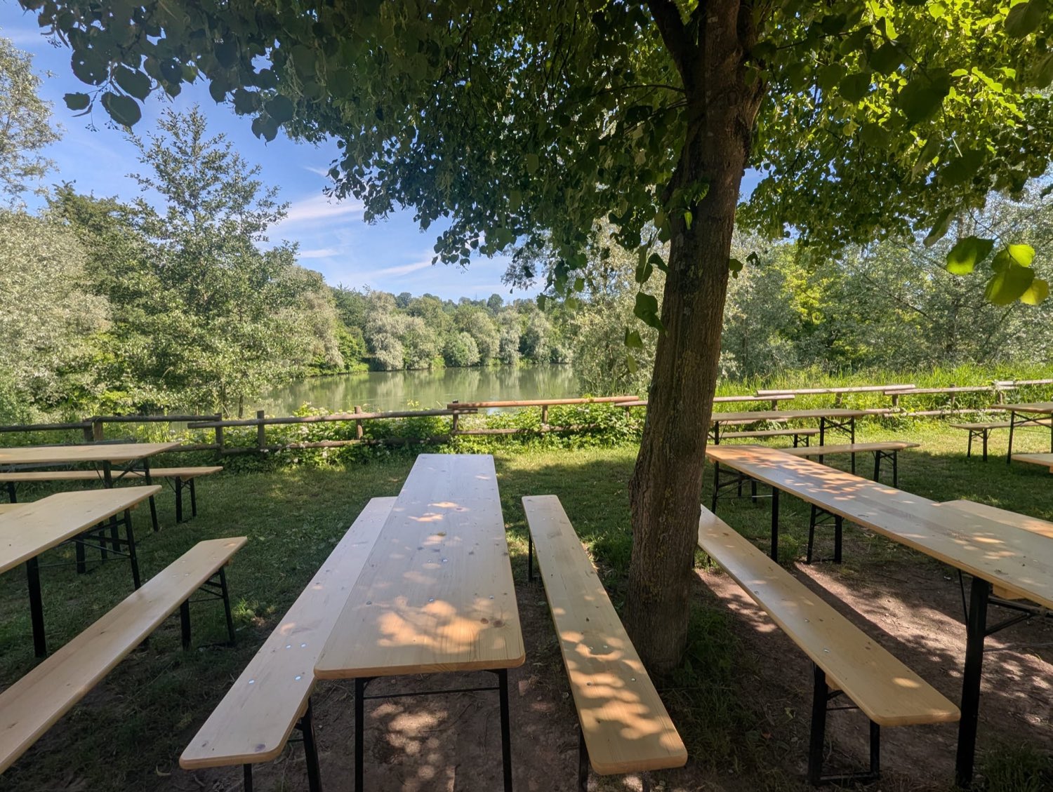 Lange Bierbänke unter Bäumen am See, bereit für eine Feier