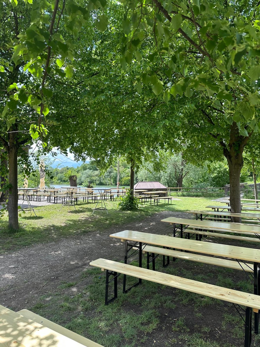 Bierbänke unter Bäumen im Biergarten